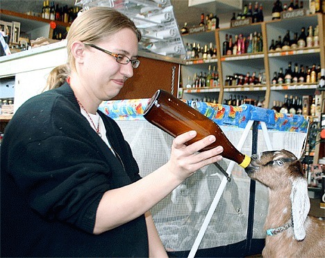 Heidi Castaneda feeds milk to her baby goats Alfred and Alfredo last Monday at the Coupeville Liquor Store.