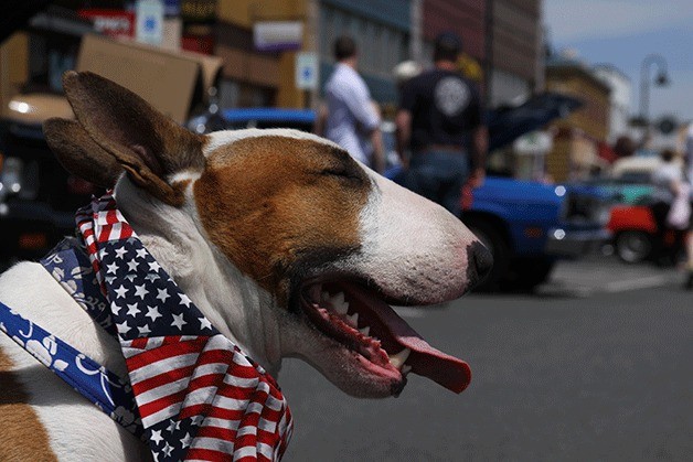 American flags were everywhere along Bayshore Drive and Pioneer Way.