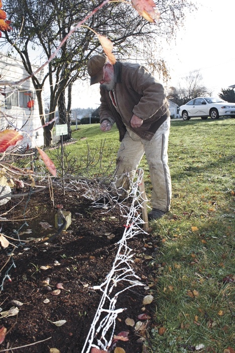 Coupeville maintenance worker Dan Dalton examines the lights at Cook’s Corner