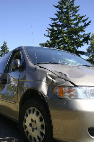 A minivan was damaged when the driver struck a horse on Highway 20 Friday. No animals or people were injured.