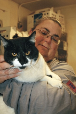 Foozle enjoys some social time outside her kennel with WAIF animal care tech Michelle Rose.