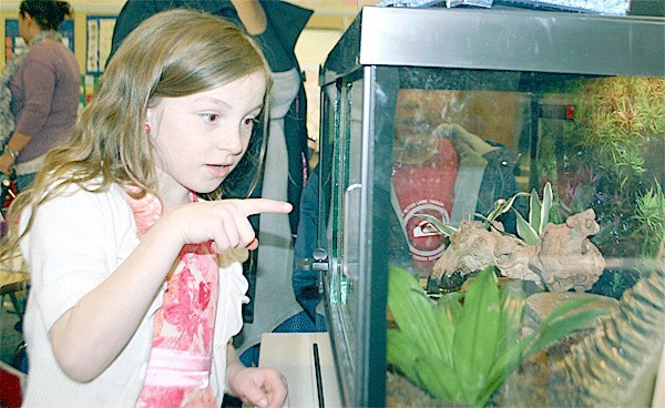 Olympic View Elementary student Adrionna Ferrara was among first-graders who learned about habitats with the help of animals from Brian Knoll