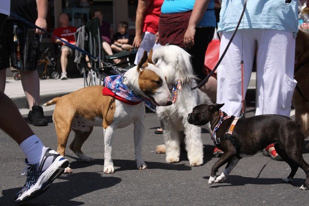 A pet parade introduced last year during Fourth of July festivities on Pioneer Way was popular for all parties involved. A car show is planned this year.