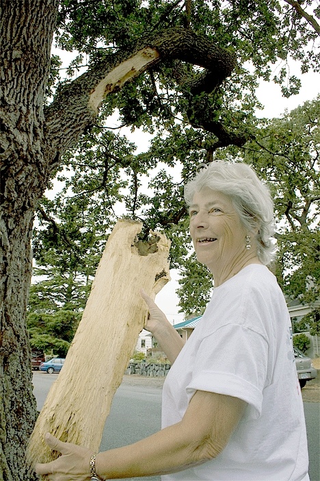 Margie Berwick holds up a large chunk of wood that fell from the Garry oak tree along Eighth Avenue after a city garbage truck clipped a branch that extends over the roadway.