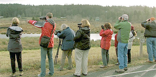 Volunteers gather at Ewing Road to count birds. The Whidbey Audubon Society held its annual bird count in December. For the first time