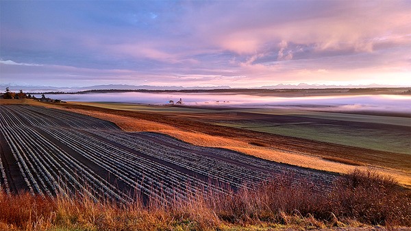 Christopher Short of Langley shot this landscape image of Ebey’s prairie with a camera phone.