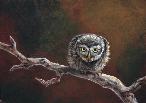 Rainy Lindell’s works include an owl painting titled