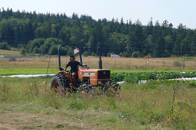 Staff at Greenbank Farm maintain the fields earlier this month. Washington State University’s extension office is interested in making the farm into an educational facility.