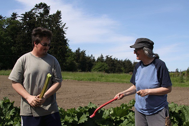 Peter Case-Smith engages in a little play time with his mother Sheila Case-Smith at the Case farm in Oak Harbor Monday. ‘Rhubarb make great protective devices