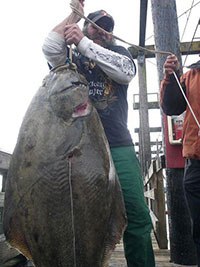 Brian Punch of Oak Harbor displays a 103-pound halibut he caught in Puget Sound near Anacortes May 9.