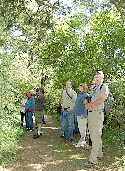 Naturalist Mark Sheehan leads a tour on the trail through the old-growth forest that may be acquired by the Whidbey Camano Land Trust.