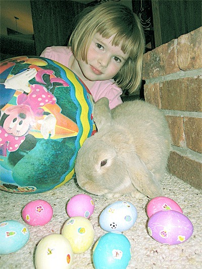 Freeland resident Sasha Sheldon looks over her bunny