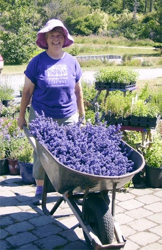 Lavender grower infuses workshop with good scents