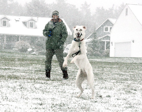 Coupeville resident Dan Murphy made sure his dog