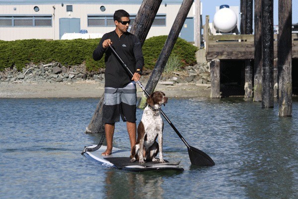 Jeff Vallejo paddleboards through the Oak Harbor Marina with his dog Jake on July 8