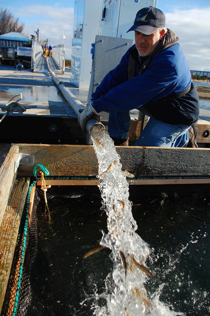 Oak Harbor Marina staff member Neil Ketchum assists in the delivery of 30