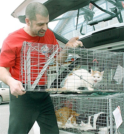 Oak Harbor resident Don Pierce hoists the cage he uses to trap cats that have been living in his mother’s home. So far