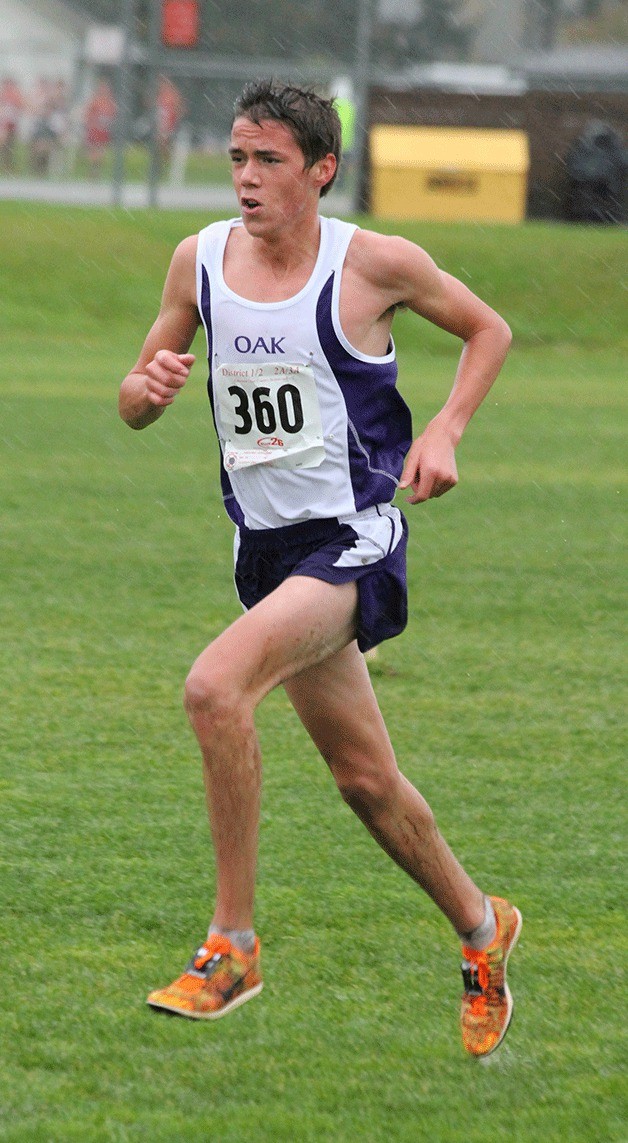 The Wildcats John Rodeheffer will attempt to defend in league and district titles and qualify for his fourth state meet.