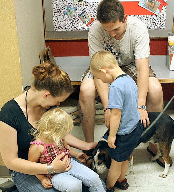 A young family meets a 7-year-old Beagle named Rook at the WAIF shelter in Coupeville.