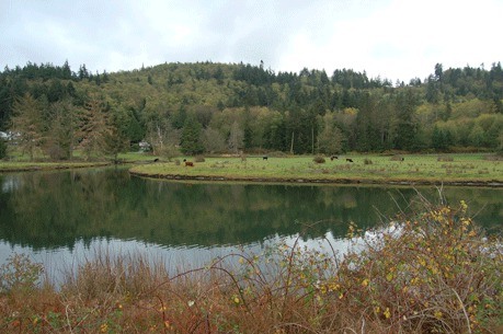 The Whidbey Camano Land Trust protected more than 150 acres near Dugualla Bay on North Whidbey.