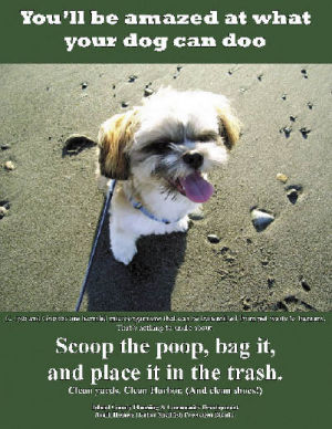 The county will give local dogs their opportunity to shine in posters imploring people to clean up after their pets in the South Holmes Harbor Shellfish Protection District.