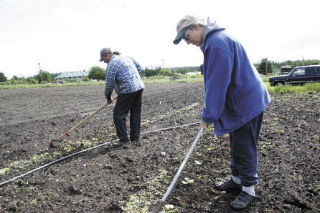 Sheila and Michael Case Smith tend a field at their farm. They are figuring out what crops to plant because of the unusually cold spring and summer that has hit the Puget Sound region.