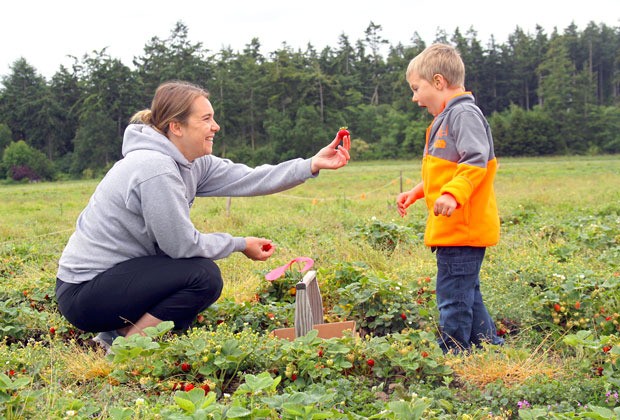 Tawny Woodworth of Coupeville unveils a good-sized ripe berry