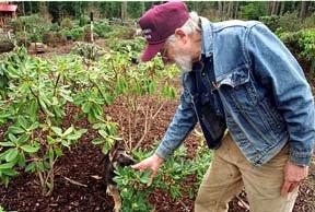 Glynneden Garden owner Bill Stipe