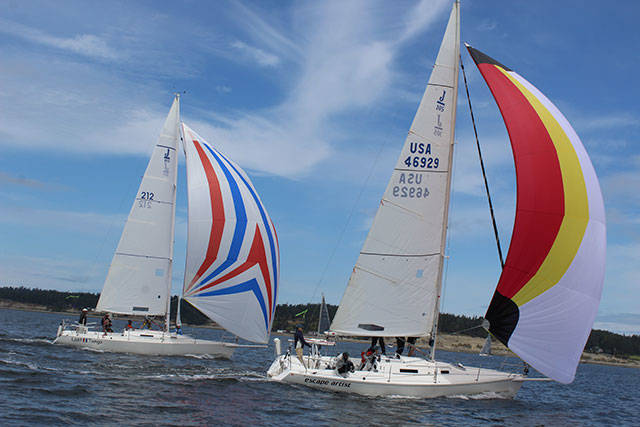 Trying to catch as much wind as possible for speed, boats furl out their spinnakers, sometimes called kites, and fly over Penn Cove waters. Photos by Patricia Guthrie/Whidbey News-Times