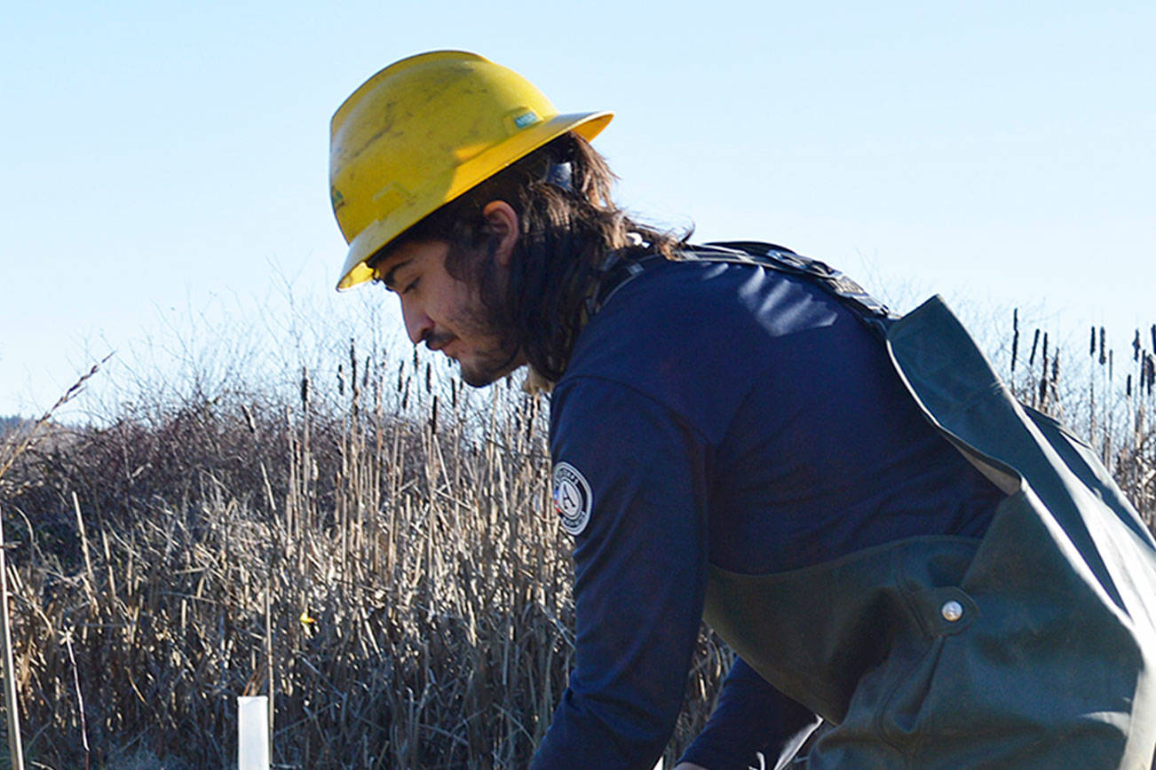 Land Trust works to restore habitat near Crockett Lake