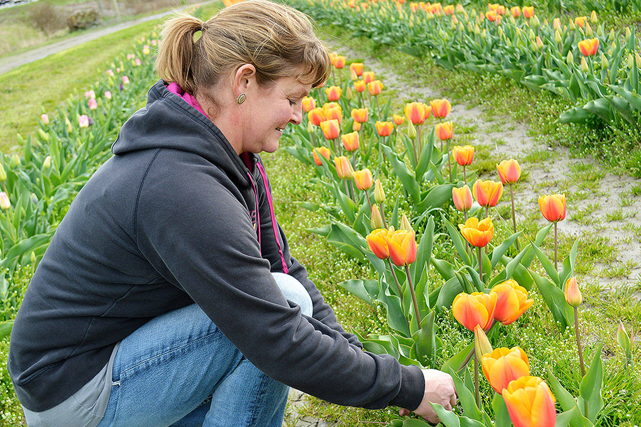 Farm blooming with change