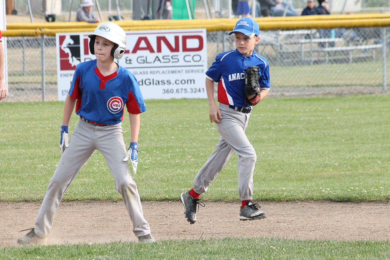 Cubs win Andrade Tournament; Angels 2nd at Pope / Little League baseball