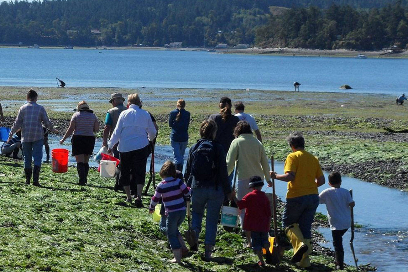 Photos provided.                                Sound Water Steward’s clamming classes take place at Double Bluff beach and are popular with people of all ages.