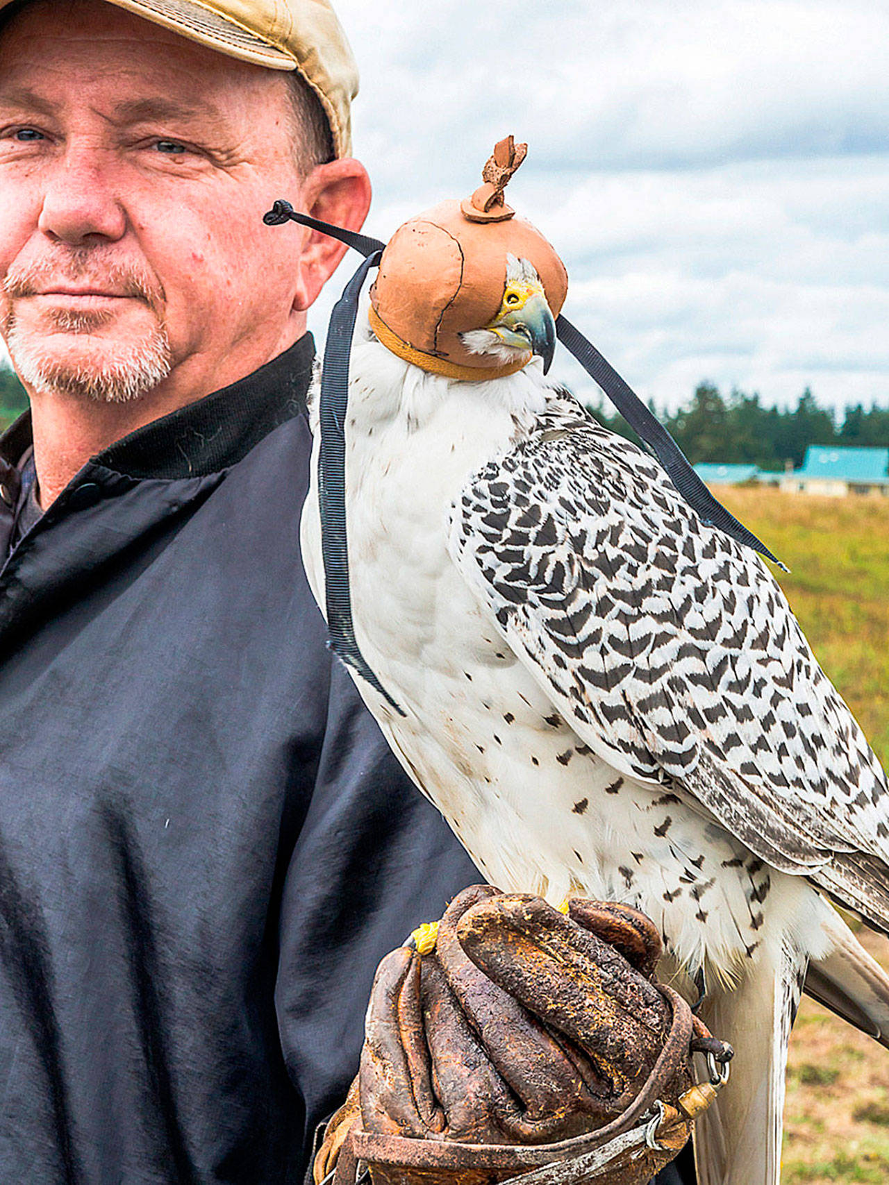 Raptors ready to roost at annual festival