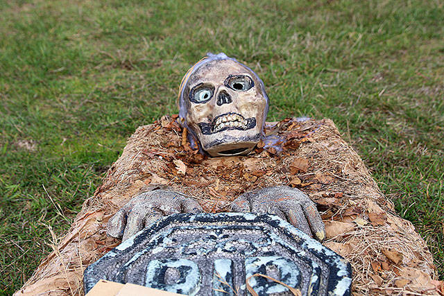 A skeleton in “grave danger” leers up from its burial site.                                Photos by Maria Matson/Whidbey News-Times.