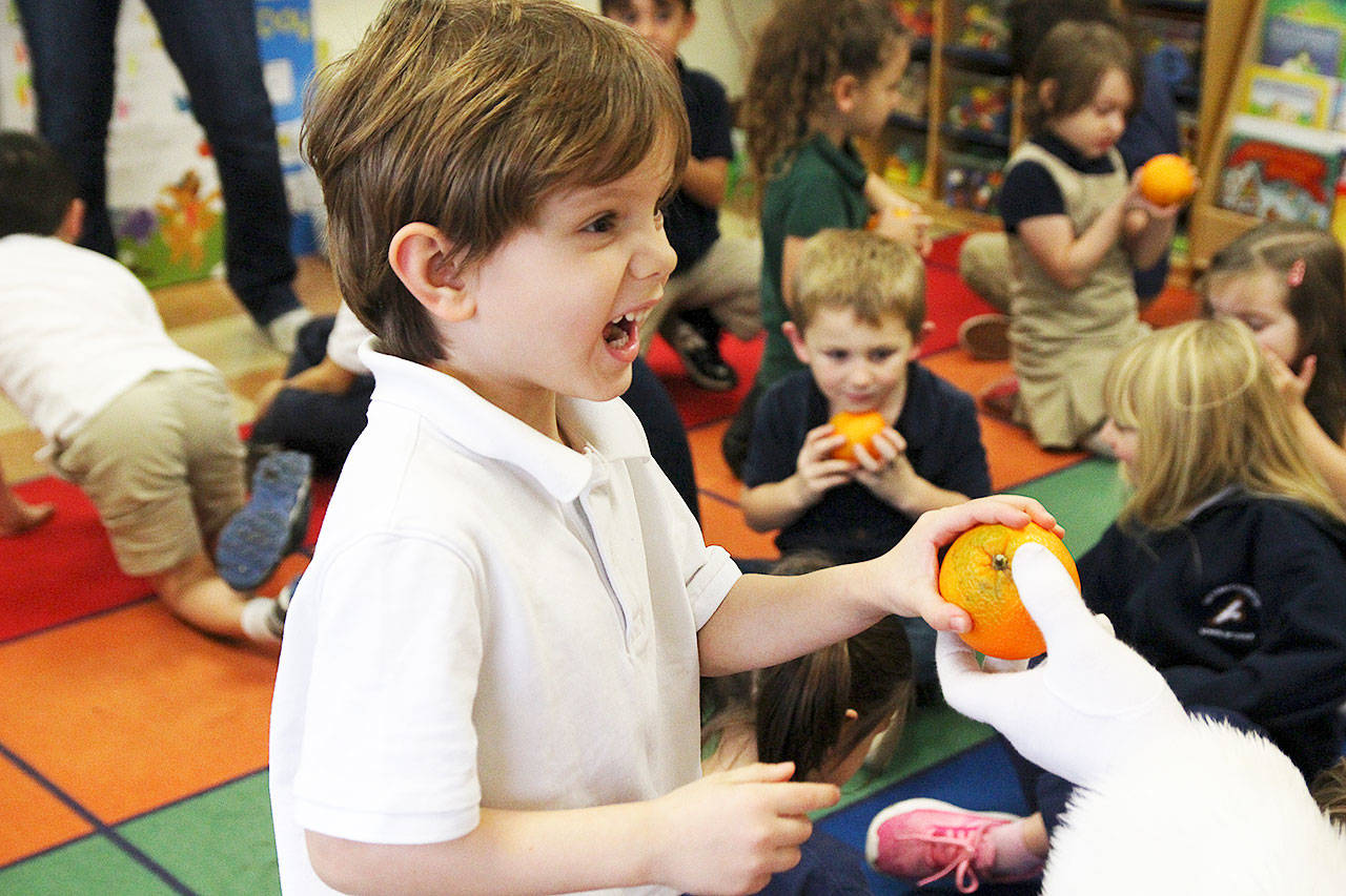 Photo by Laura Guido/Whidbey News-Times.                                Kindergartner Zeddicus Sem receives an orange from Santa during Saint Nick’s visit to Oak Harbor Elementary School.