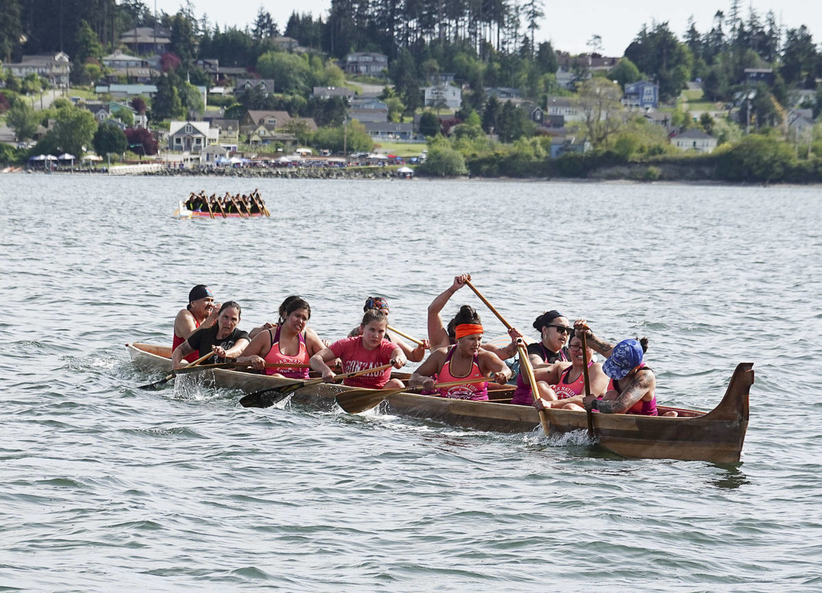 Penn Cove Water Festival held under sunny skies Whidbey NewsTimes