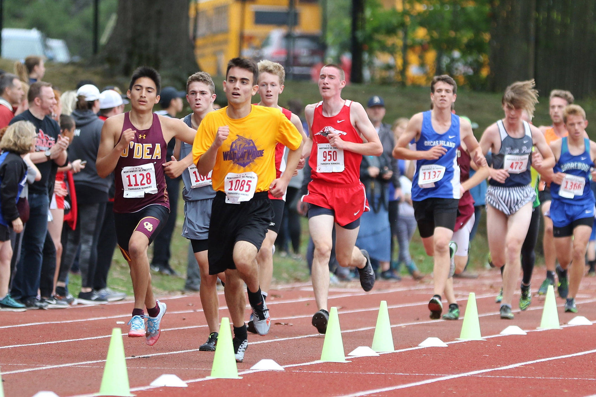 Oak Harbor’s Brandon Parham (1085) competes in the senior boys race at the Sehome Invitational Saturday.(Photo by John Fisken)