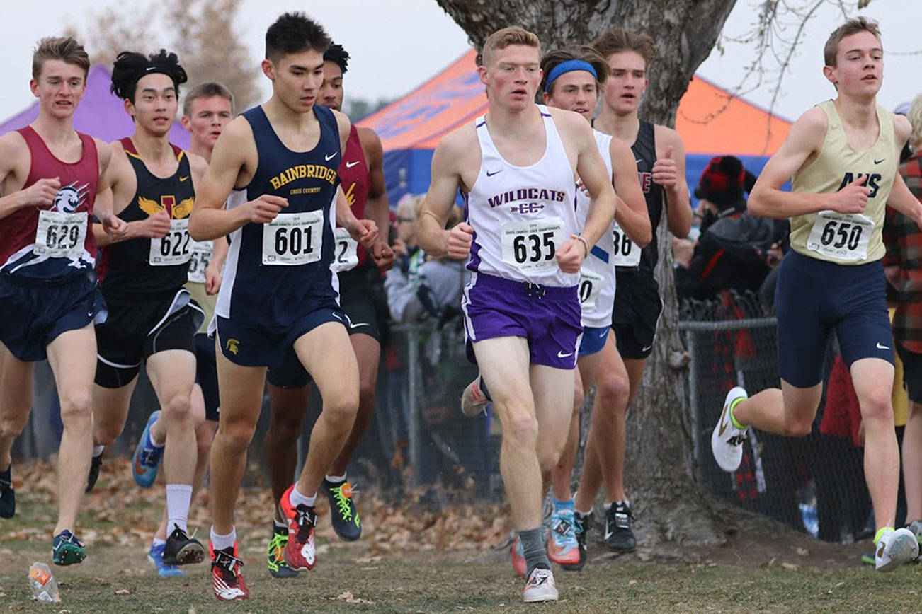 Riddle-Stevens leads local runners by finishing 28th in state meet / Cross country