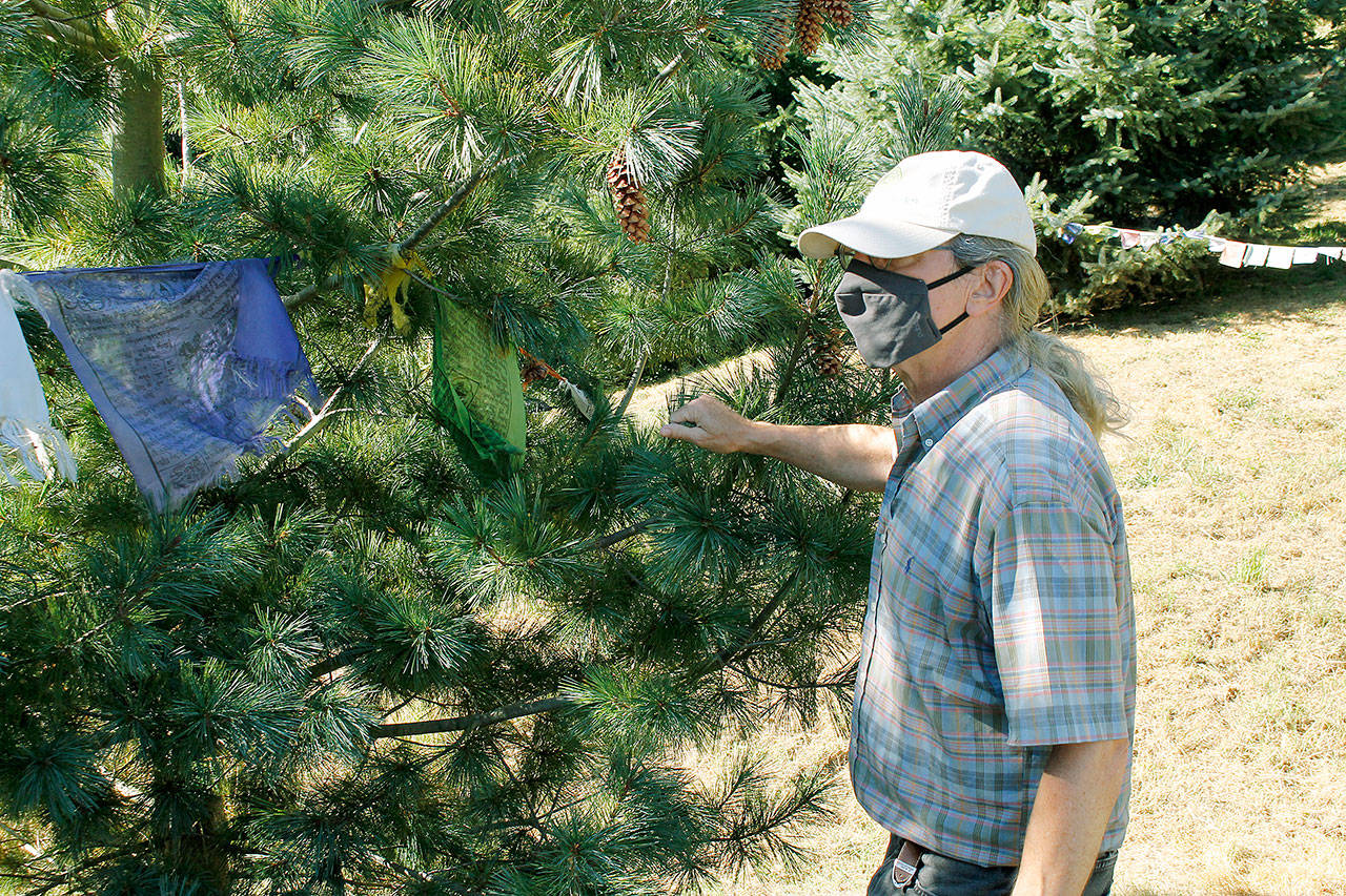 Earth Sanctuary owner and founder Chuck Pettis stands beside a tree dedicated to his sister, Lydia Pettis. Chuck Pettis is offering others the chance to honor a loved one with the purchase of a memorial tree. Photo by Kira Erickson/Whidbey News-Times.