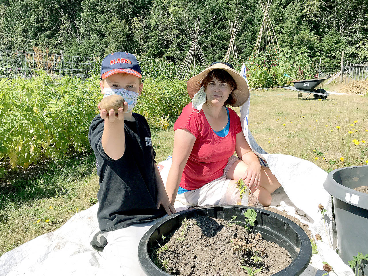 Wyatt and Deanna Loasby show off a potato harvested last month from South Whidbey School Farms’ garden. Photo provided by South Whidbey School Farms.