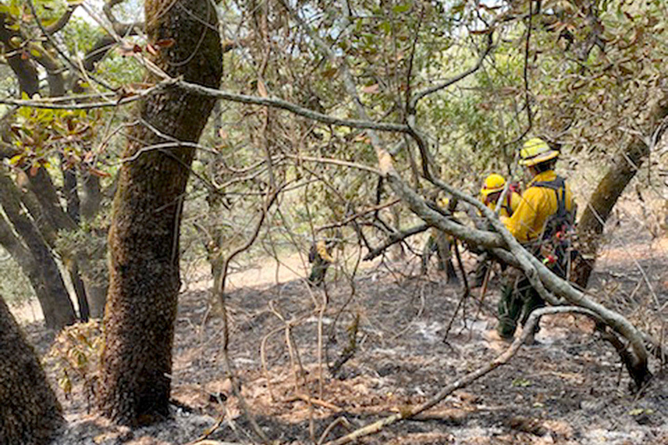 North Whidbey firefighters helping to battle wildfires in California