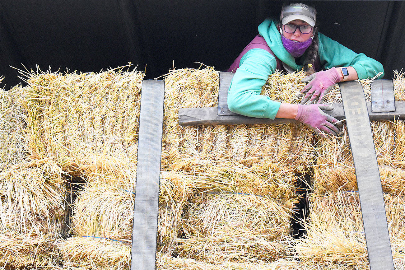 Hay donation