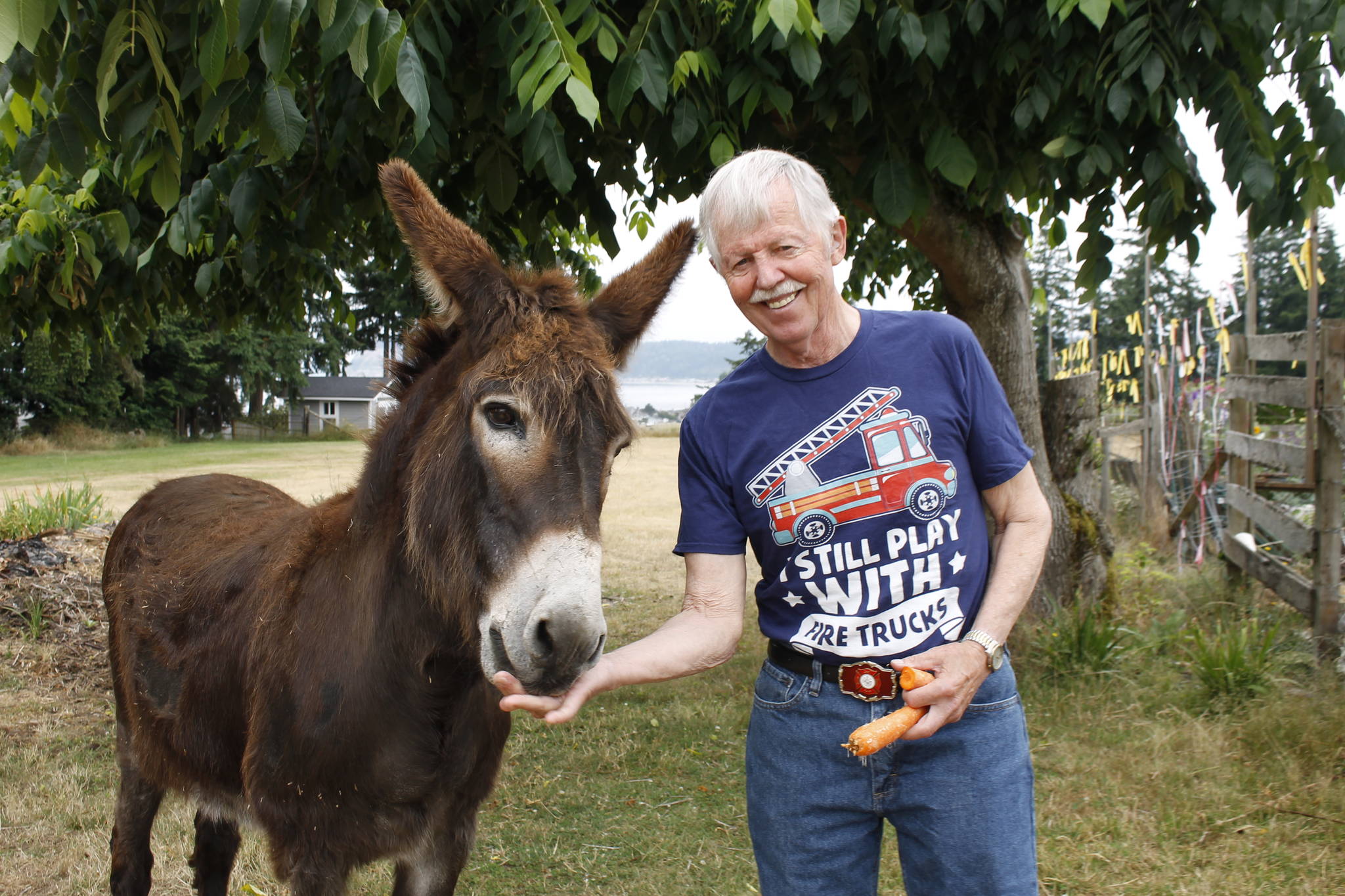 Photo by Kira Erickson
Gary Gabelein, this year's grand marshal of the Whidbey Island Fair parade, with his donkey, Cleopatra.