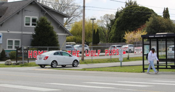 Parents and guardians pick their children up from Coupeville Elementary School. The town will soon install flashing beacons to make the crosswalk safer for pedestrians during traffic-heavy pick-up and drop-off hours. (Photo by Karina Andrew/Whidbey News-Times)