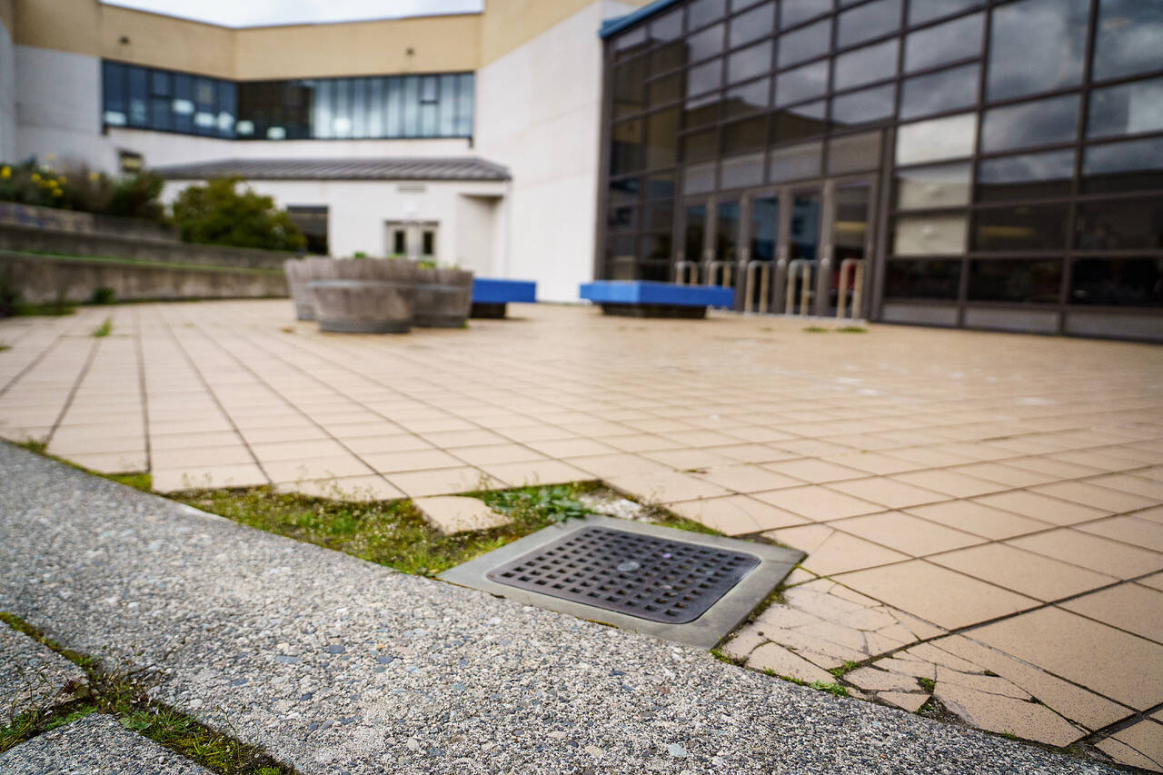 Photo by David Welton
The courtyard at the middle school/high school campus is made up of uneven materials and missing some tiles, which makes traversing it treacherous.