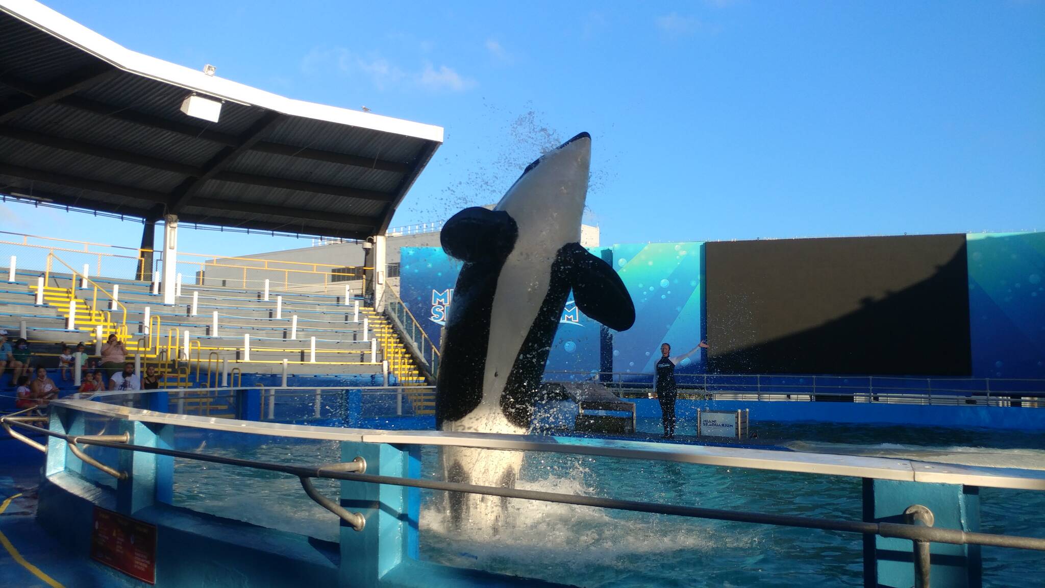 Miami Seaquarium Ticket Price, Hours & Events