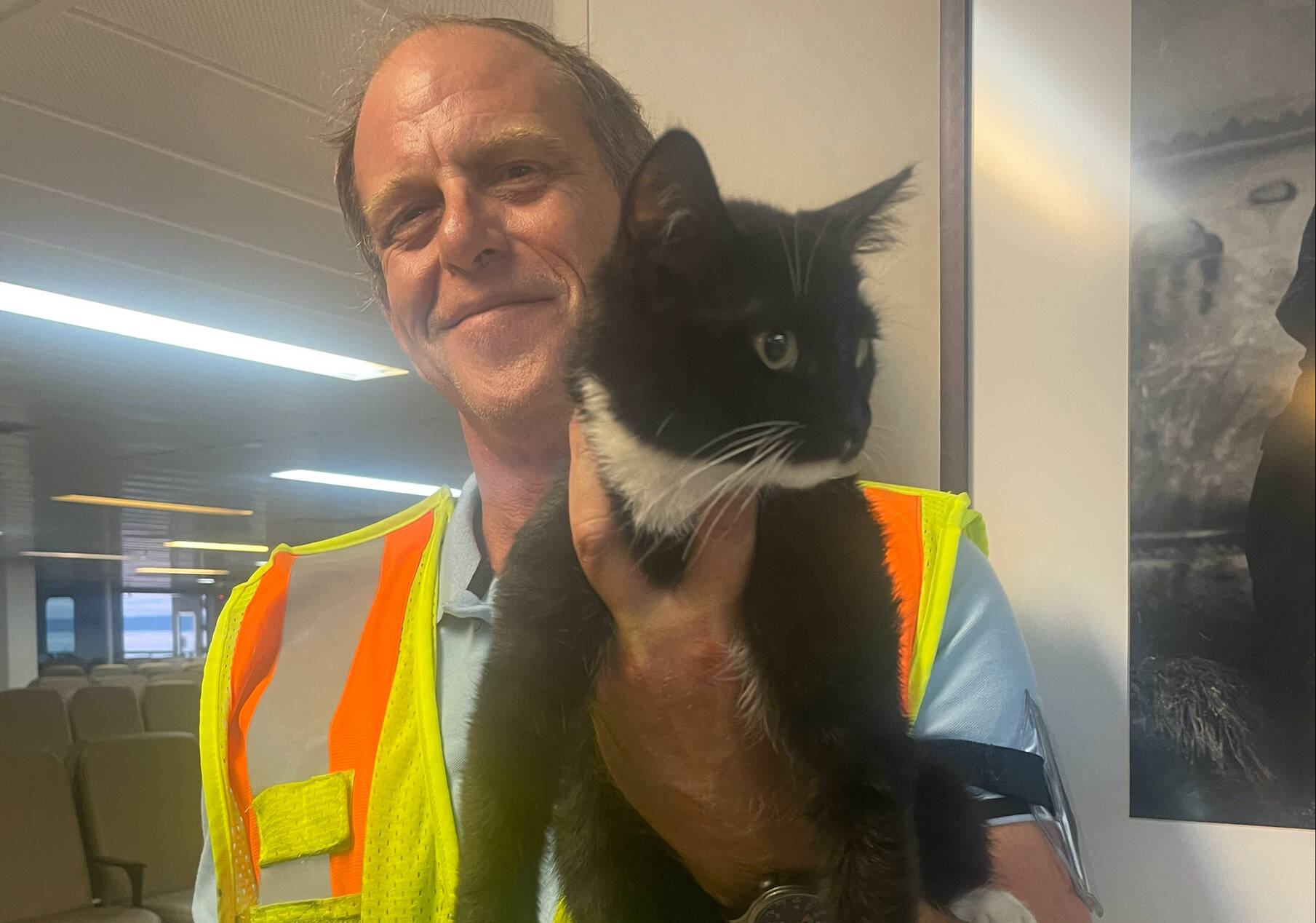 Feline stowaways found on ferry