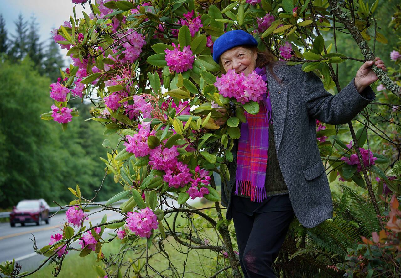 Greenbank resident Kristi O’Donnell admires a patch of rhododendrons at the side of Highway 525 that she helped save nearly 20 years ago. (Photo by David Welton)