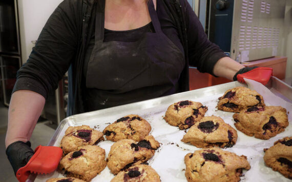 Photo by David Welton
Laura Wills holds up a tray of freshly baked marionberry scones.